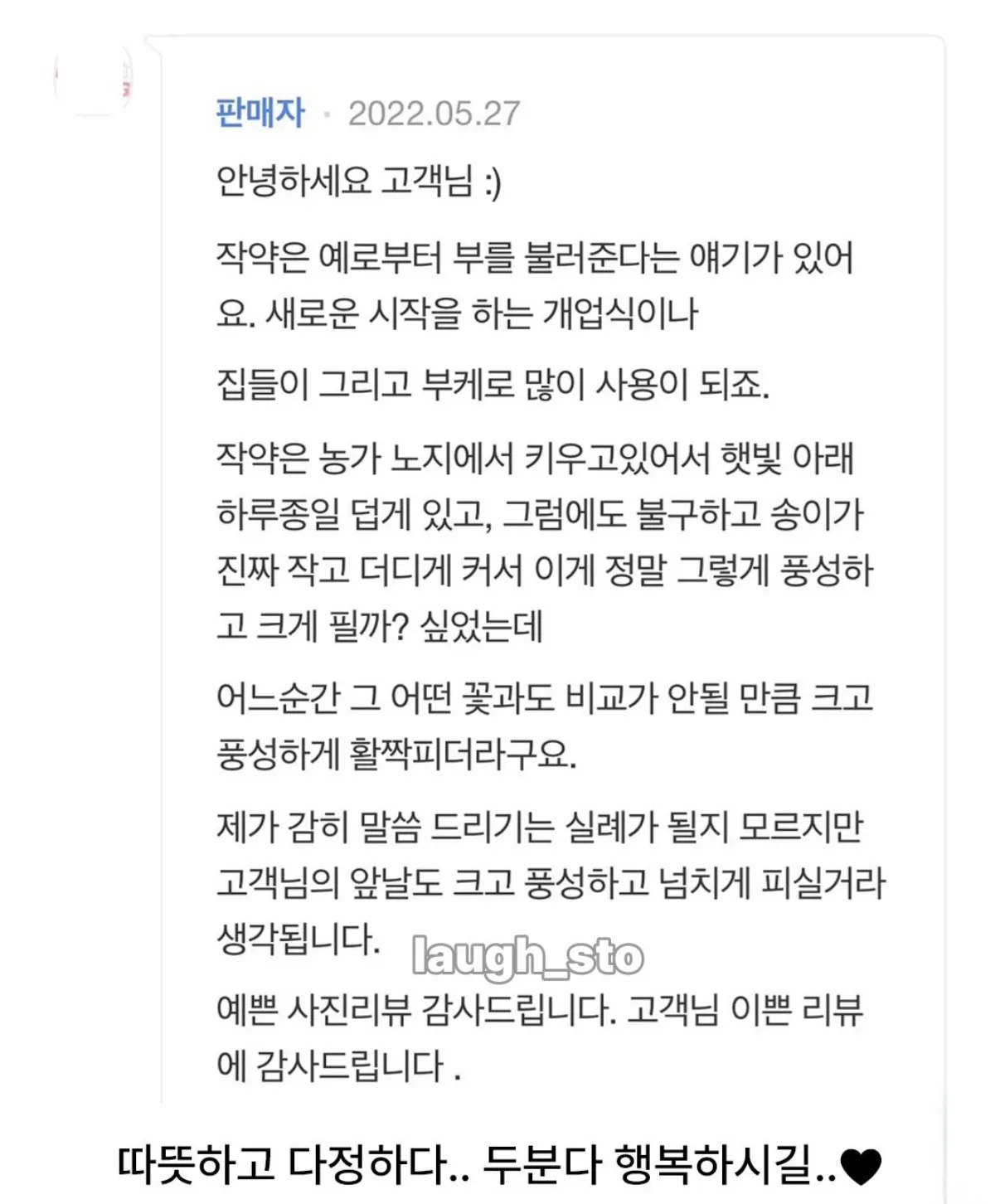 저도 언젠가 활짝 피겠죠? (2)