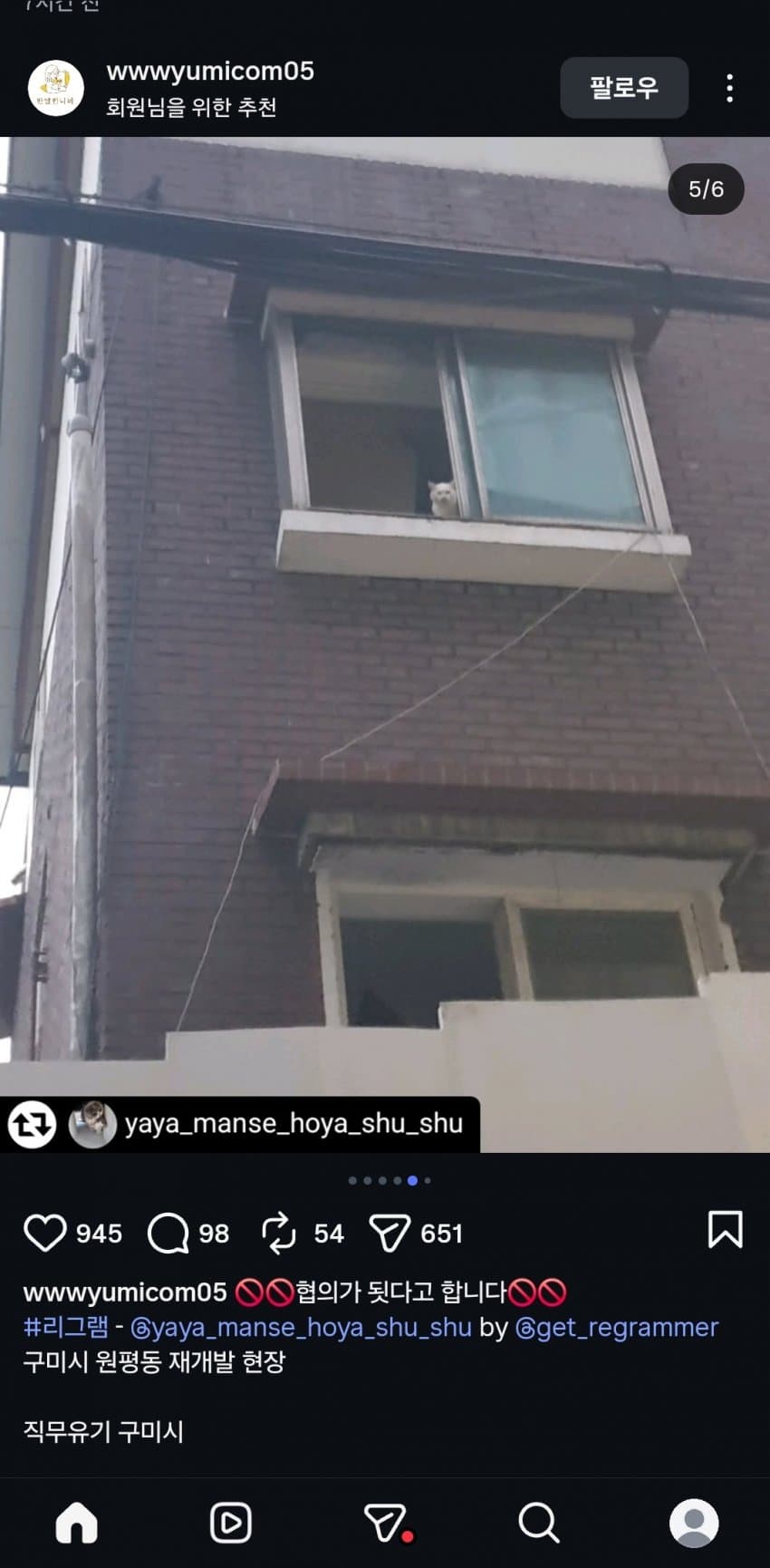 앞으로 재개발 하려거든 지역 고양이 전부 구조하라는 캣맘 (8)