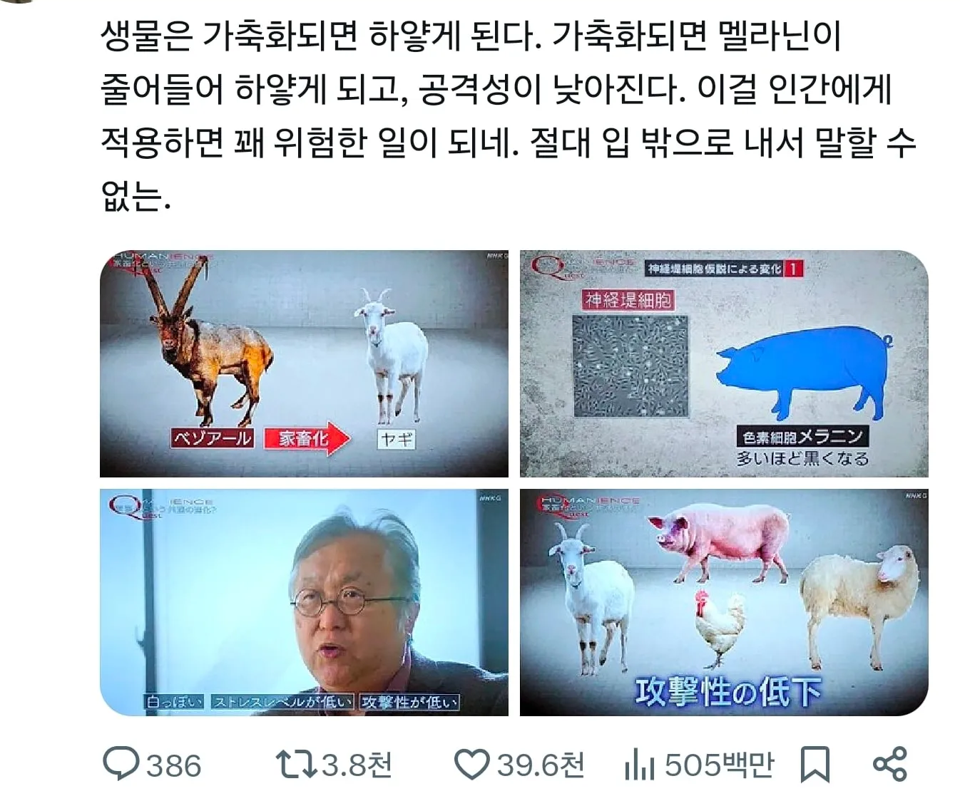 ???: 가축화 된 동물은 하얗게 변한다