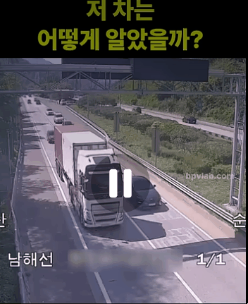 고속도로에서 보여준 sss급 회피능력