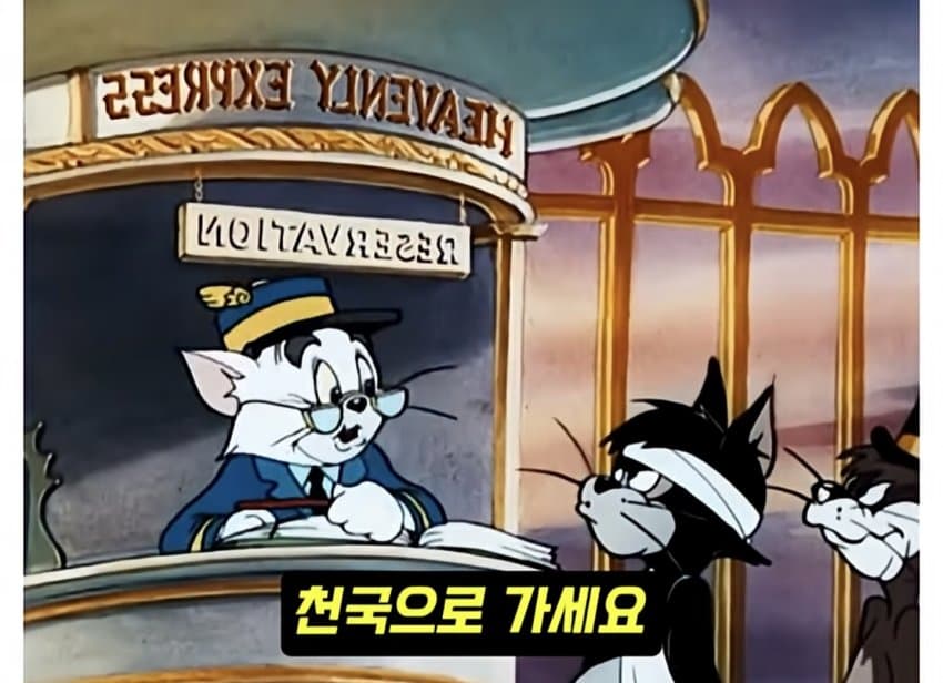 훌쩍훌쩍 톰과 제리 전설적인 장면.. (10)