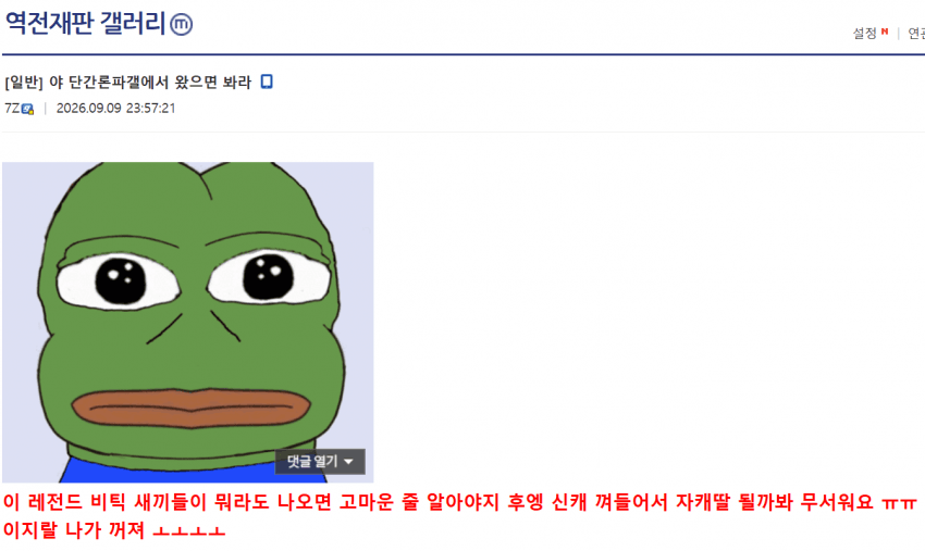 지금 닌텐도 관련 갤러리들 대문 (10)