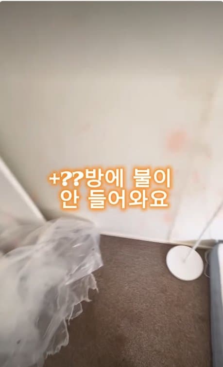 아일릿 원희 닮은07년생 한국여자 거친 호주에서  살아남기. ㄷㄷ (10)