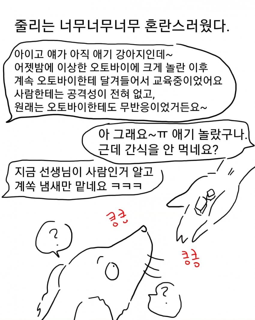 오토바이 무서워하는 강아지 교육하는 만화 (40)
