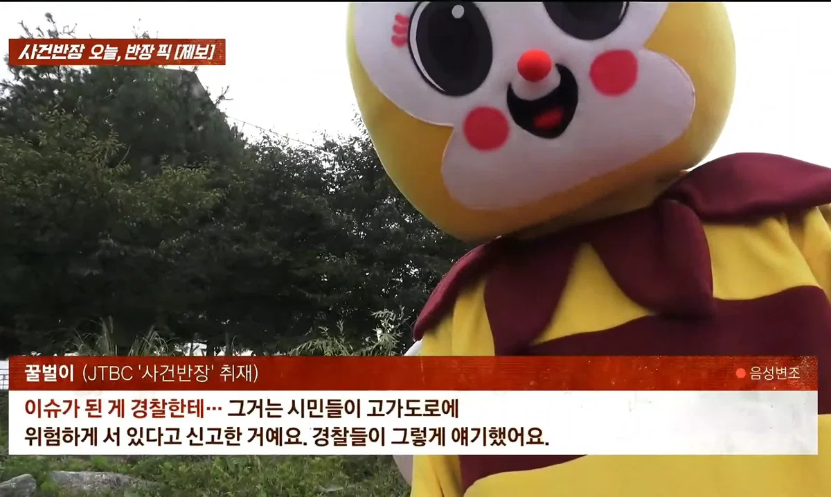 사건반장에 나온 꿀벌 복장 입는 이유 (9)