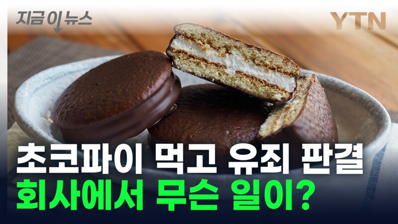 회사 냉장고 초코파이 취식 유죄 - 아니 그럼 조희대는???? (3)