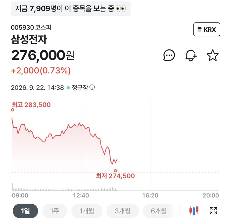 안내릴거라더니 구조대오니까 엄청내렸네