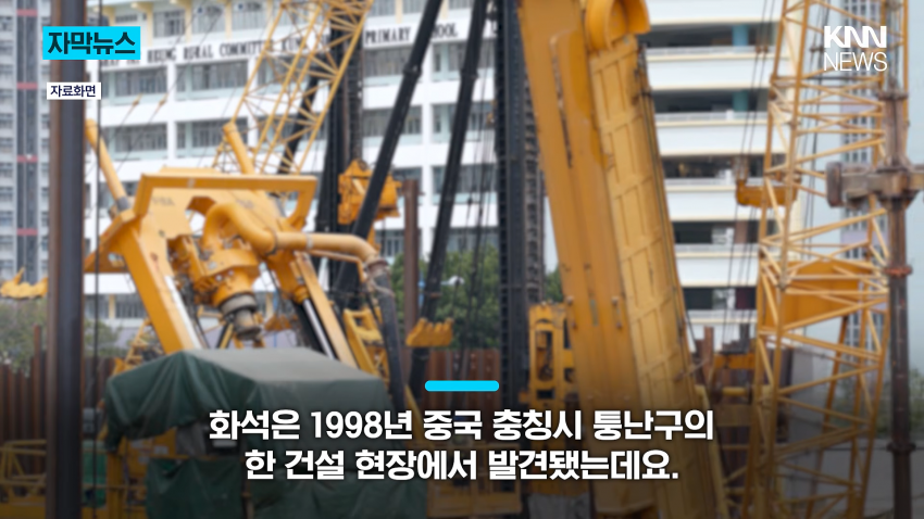 공사장에서 1억 년 전 초대형 공룡 발견 (4)
