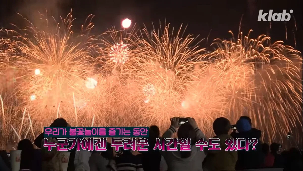 새들에겐 거의 전쟁난 수준이라는 불꽃축제
