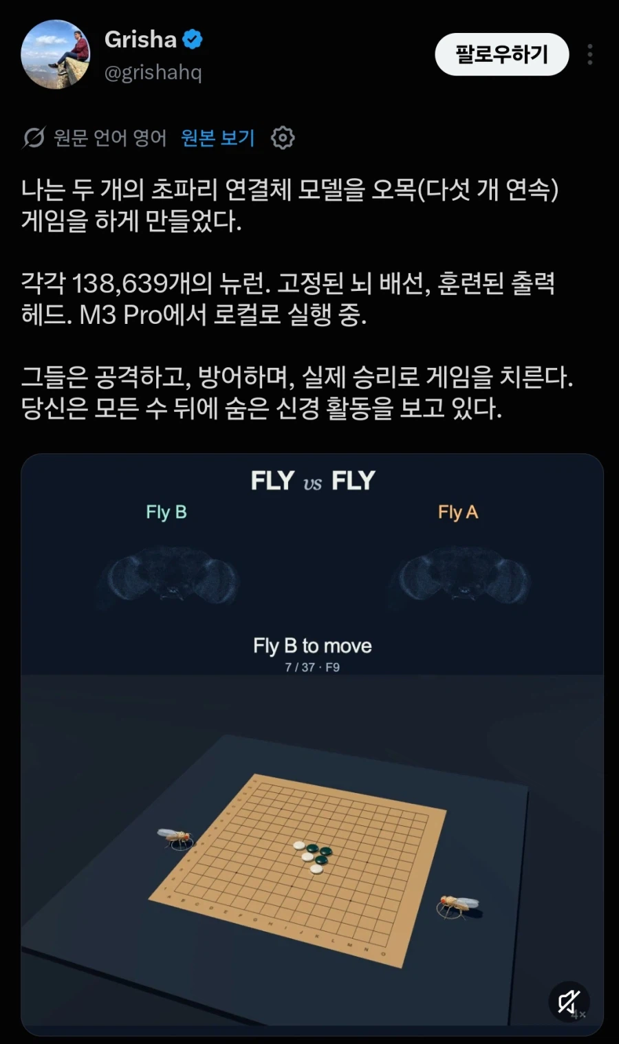 초파리 근황 (3)