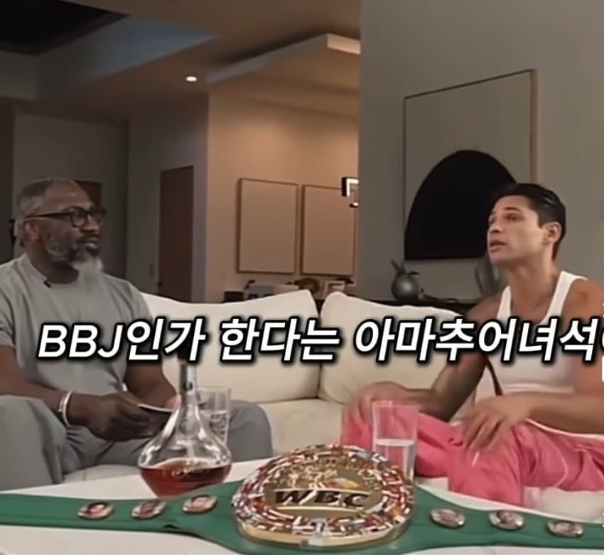 싱글벙글 MMA에 벽 느꼈다는 복싱 세계 챔피언 (6)