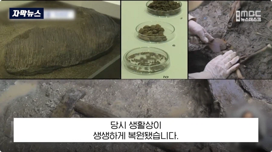 충주에서 1600년전 백제 유물 발견 (17)