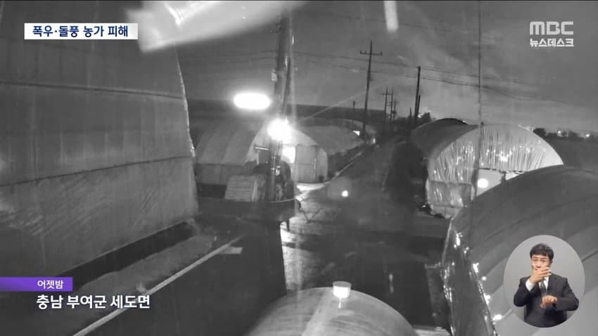 돌풍에 비닐하우스 '폭싹'‥내일 새벽 '집중호우' 2차 피해 우려 (2)
