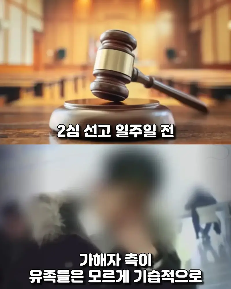 유족과 합의없이 감형받은 악랄한 살인범 (10)