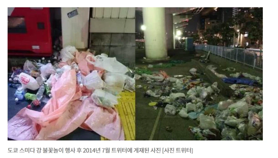 불꽃축제 일뽕 아줌마 ㄷㄷㄷㄷㄷ (10)