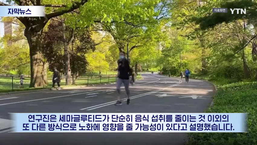 수명까지 늘었다...비만약 뜻밖의 효과 (10)