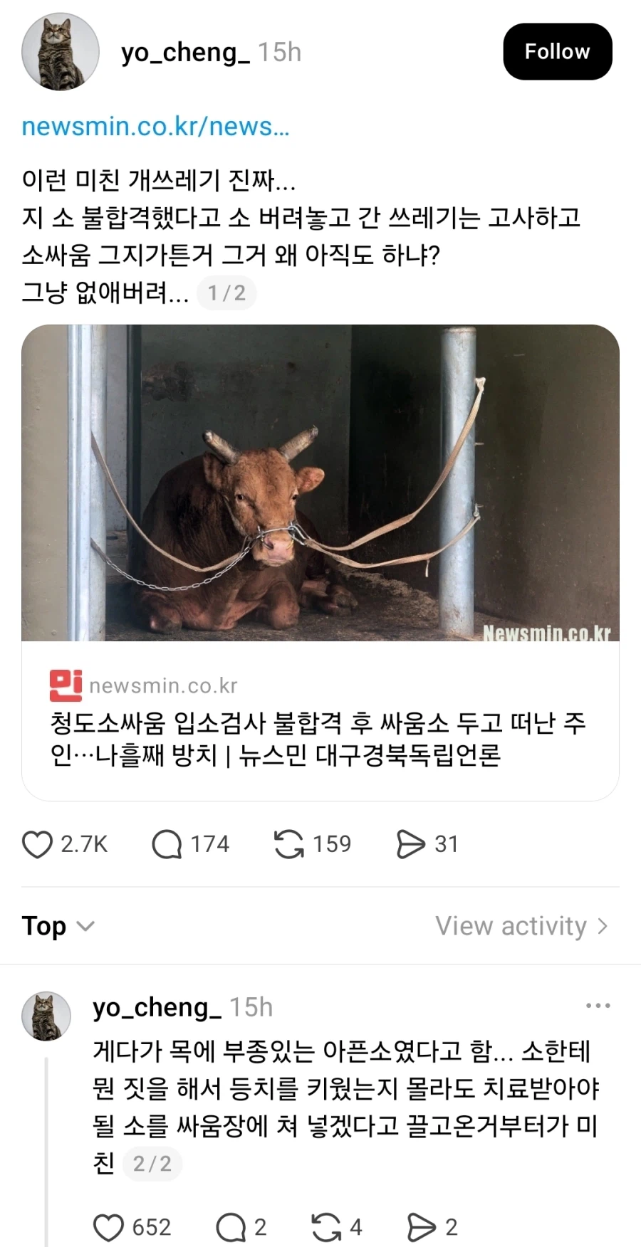 청도소싸움 검사 불합격했다고 싸움소 버리고 간 주인