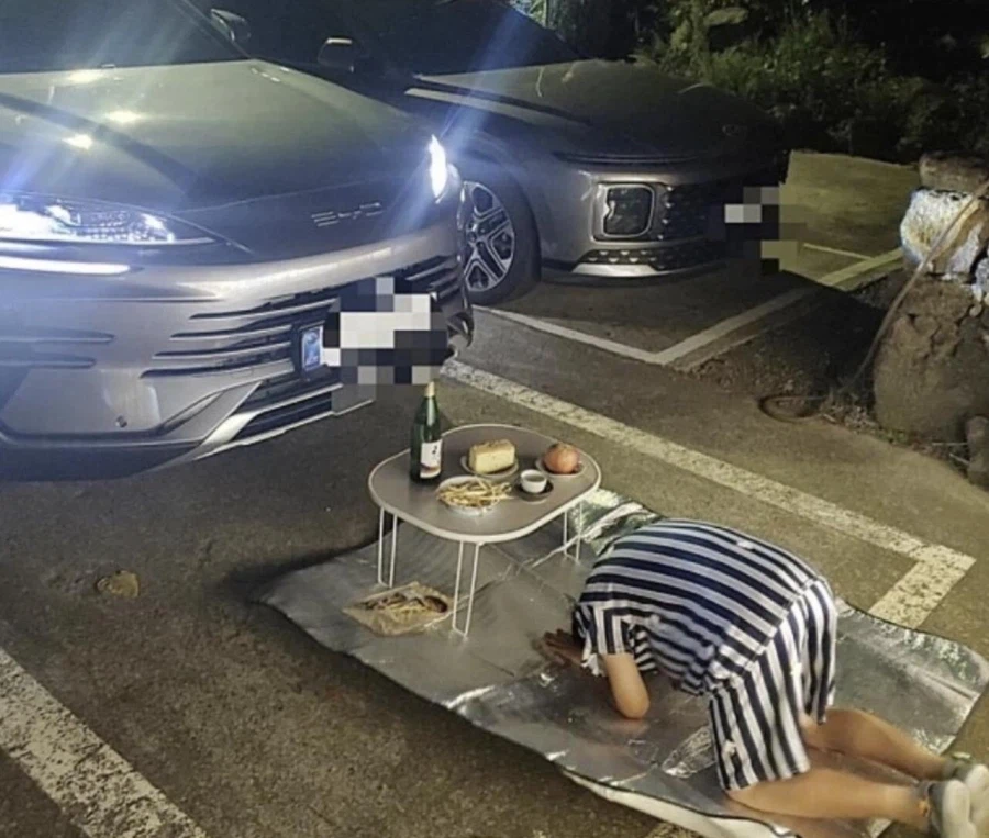 슬슬 고장나기 시작하는 BYD 근황 (8)