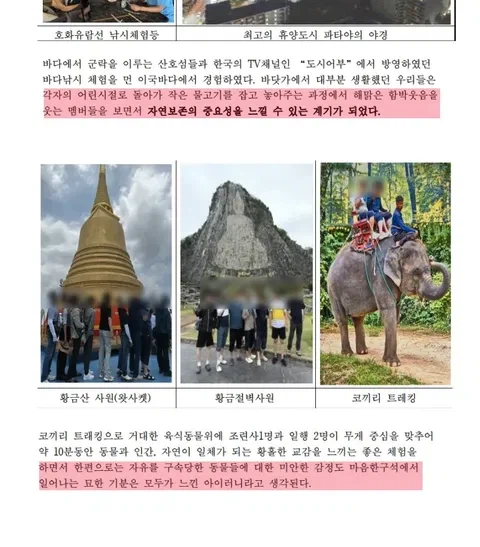 ??? 융프라우에서 먹은 라면 맛은 최고였다