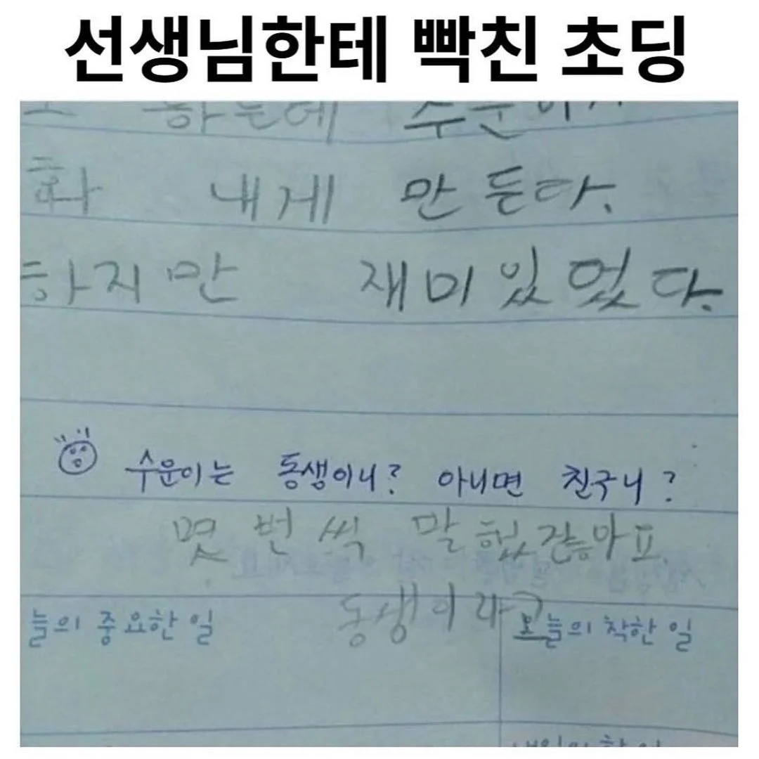 선생님한테 빡친 초딩
