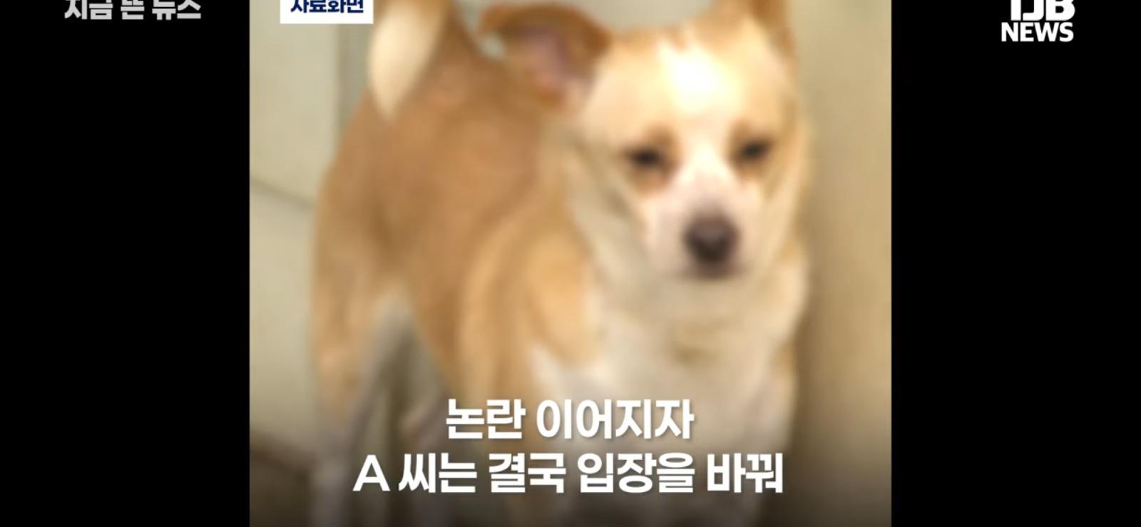 친구 집들이에 개를 데리고 갔더니 벌어진 일 (9)