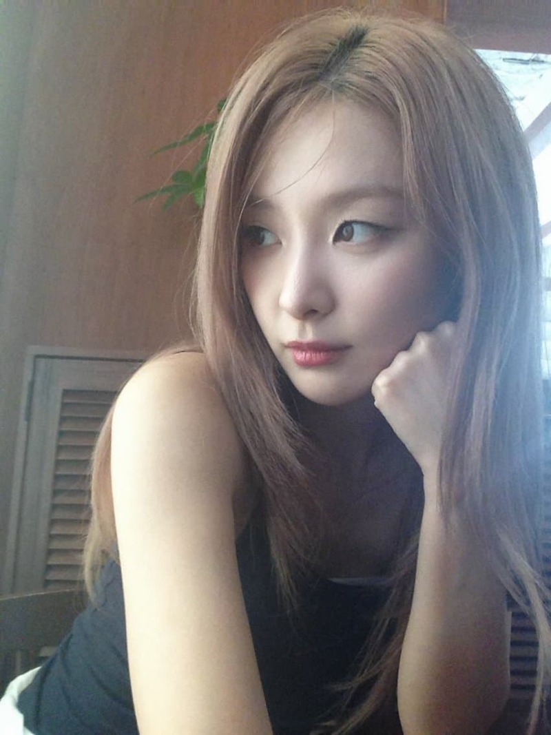 레드벨벳 슬기 (6)