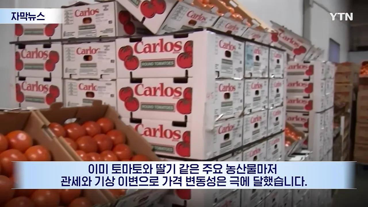 연준마저 우려하는 트럼프의 폭주.선거 앞두고 민심은 '사형선고' [자막뉴스] _ YTN 0-20 screenshot.png