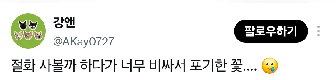 요즘 중국에서 생화계의 에르메스라 불린다는 꽃 (8)