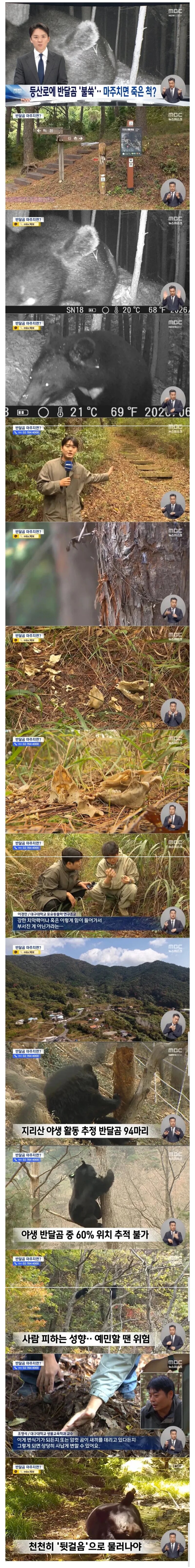 지리산 등산로 근황...gom