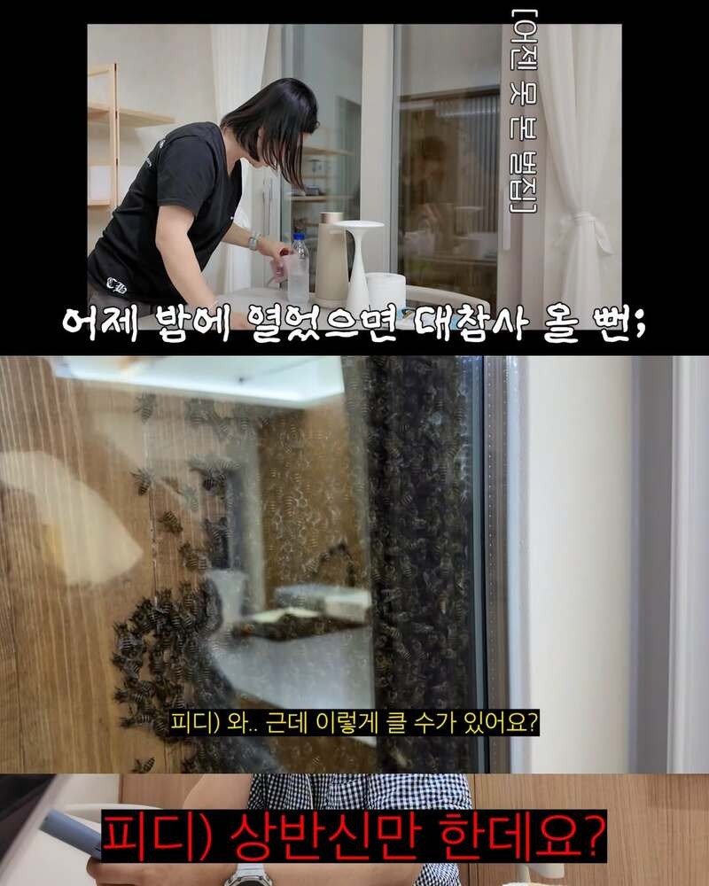 08.jpg
