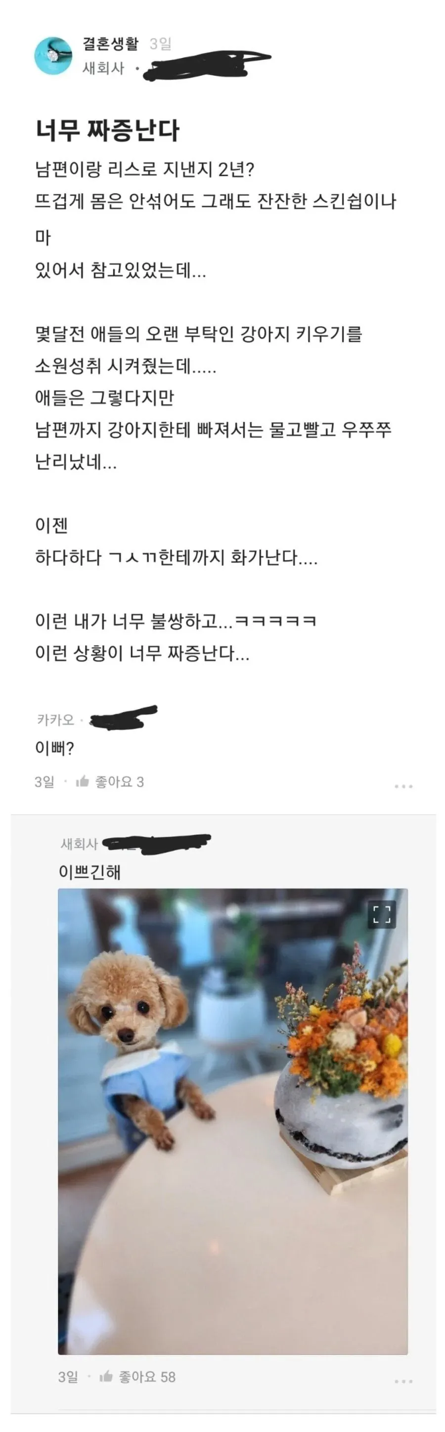 리스 2년짼데 강아지에 빠져사는 남편땜에 너무 짜증난다