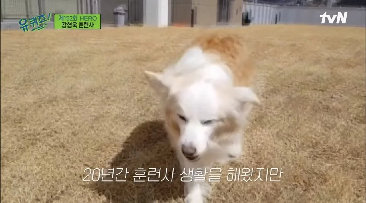 강형욱도 해결해줄수 없다는 보호자들의 질문 (21)