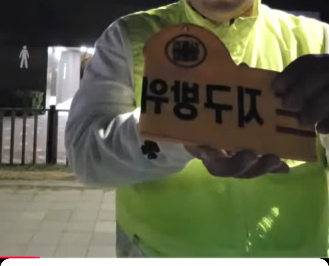 이것마저 역시 부산답다는 말 나오는 부캉이 방범대... (4)