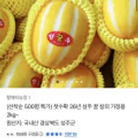 가정용 참외 1kg
