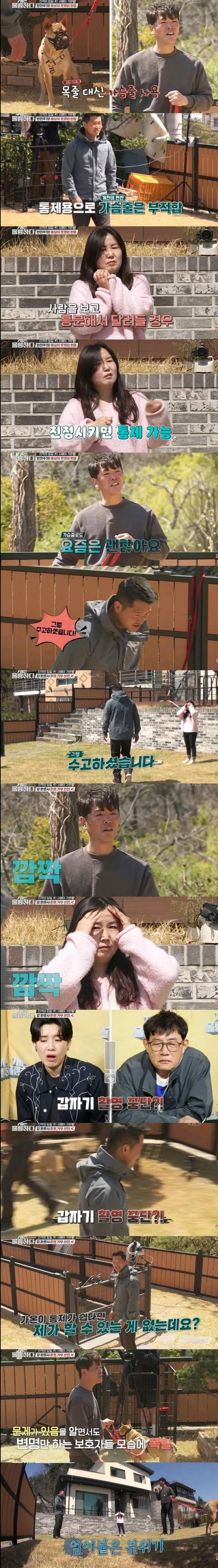개물림 사고 대부분의 원인 (2)