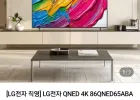 LG전자 QNED TV 86QNED65ABA