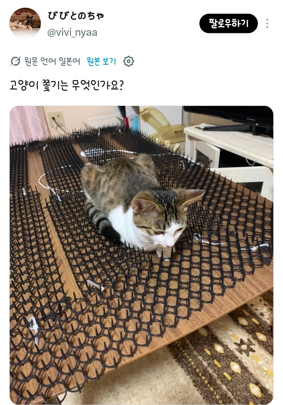 고양이가 들어가기 싫어하는 곳에는 고양이 쫓는 시트를 깔아두면 좋을거야