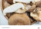 국내산 생표고버섯 못난이 2kg