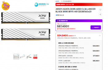 [지마켓] ADATA DDR5-6000 CL36 LANCER BLADE 화이트 패키지 서린 (32G...