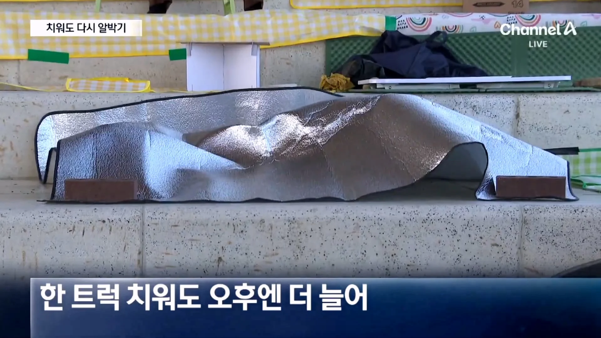 여의도 한강공원 돗자리 단속에 빡쳐버린 시민들 ㅋㅋㅋㅋㅋ (12)