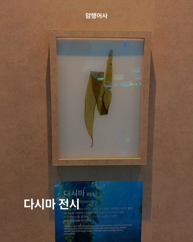 여수 섬박람회 퀄리티 논란 (2)
