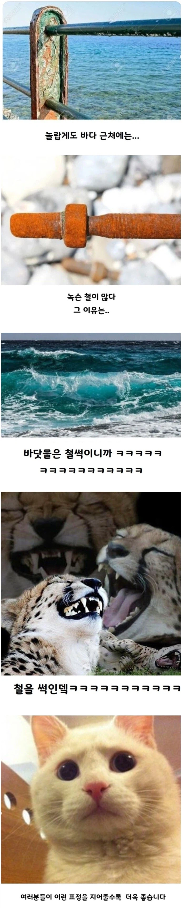 놀랍게도 바다 근처에는 녹슨 철이 많다. 그 이유는…