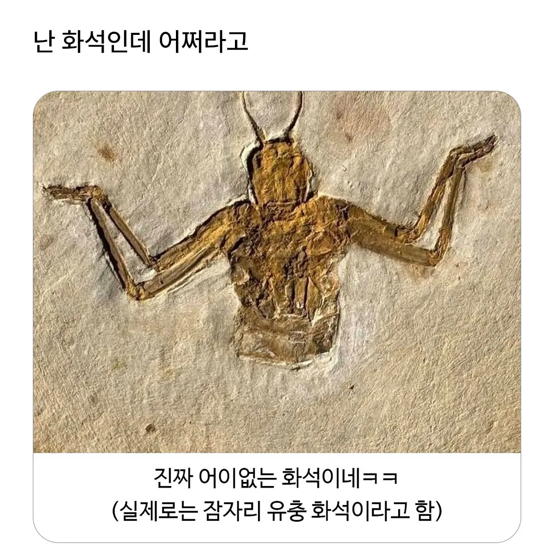어쩌라고.jpg