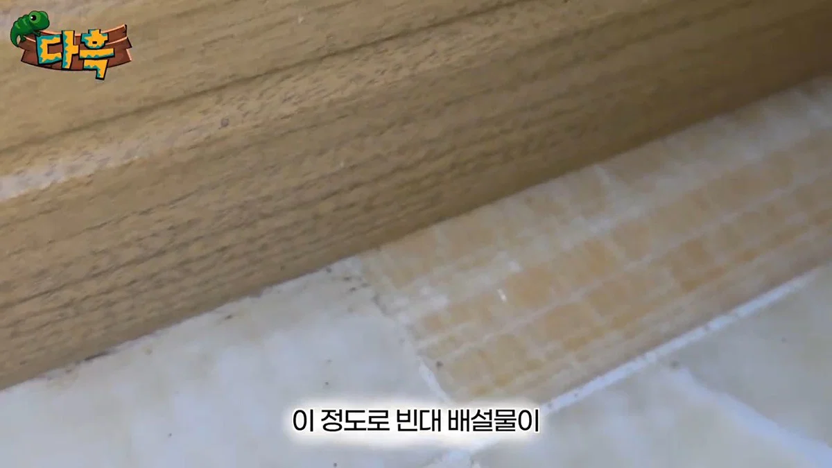 부산 찜질방 빈대 이슈 업로드한 유튜버 다흑... (20)