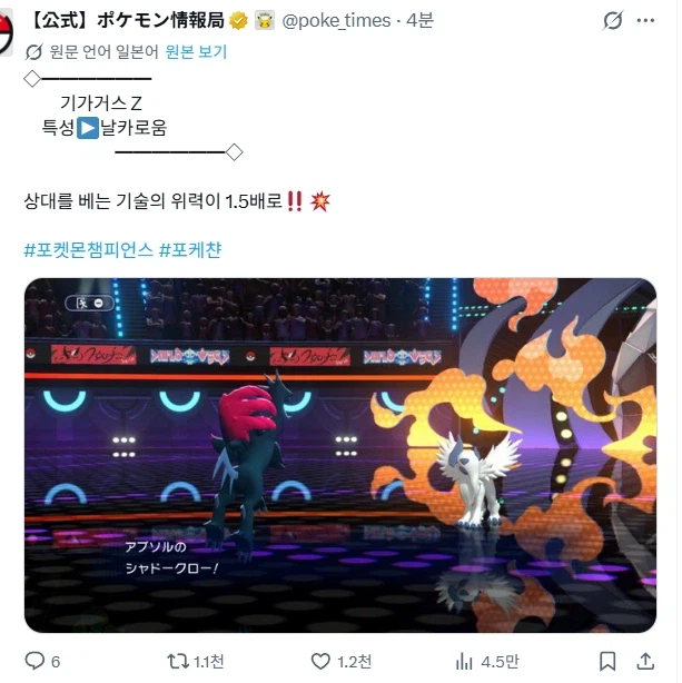 포켓몬)Z 메진 포켓몬들 특성 공개