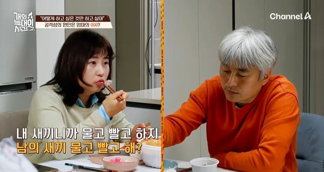 개늑시에 나오는 문제견 견주 특징 (18)