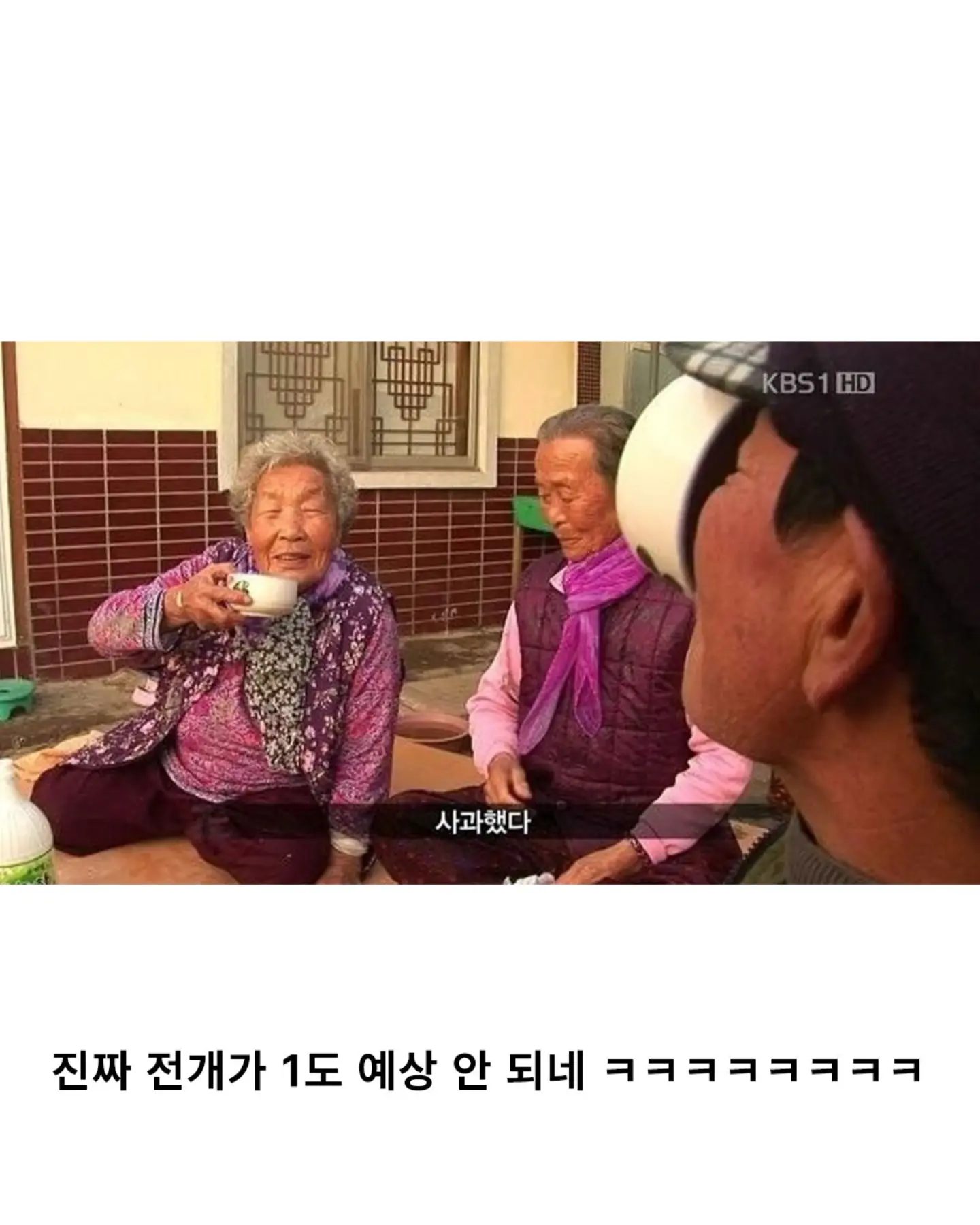 고양이가 생선 안 훔치게 지켜보라 부탁받은 할머니 (19)