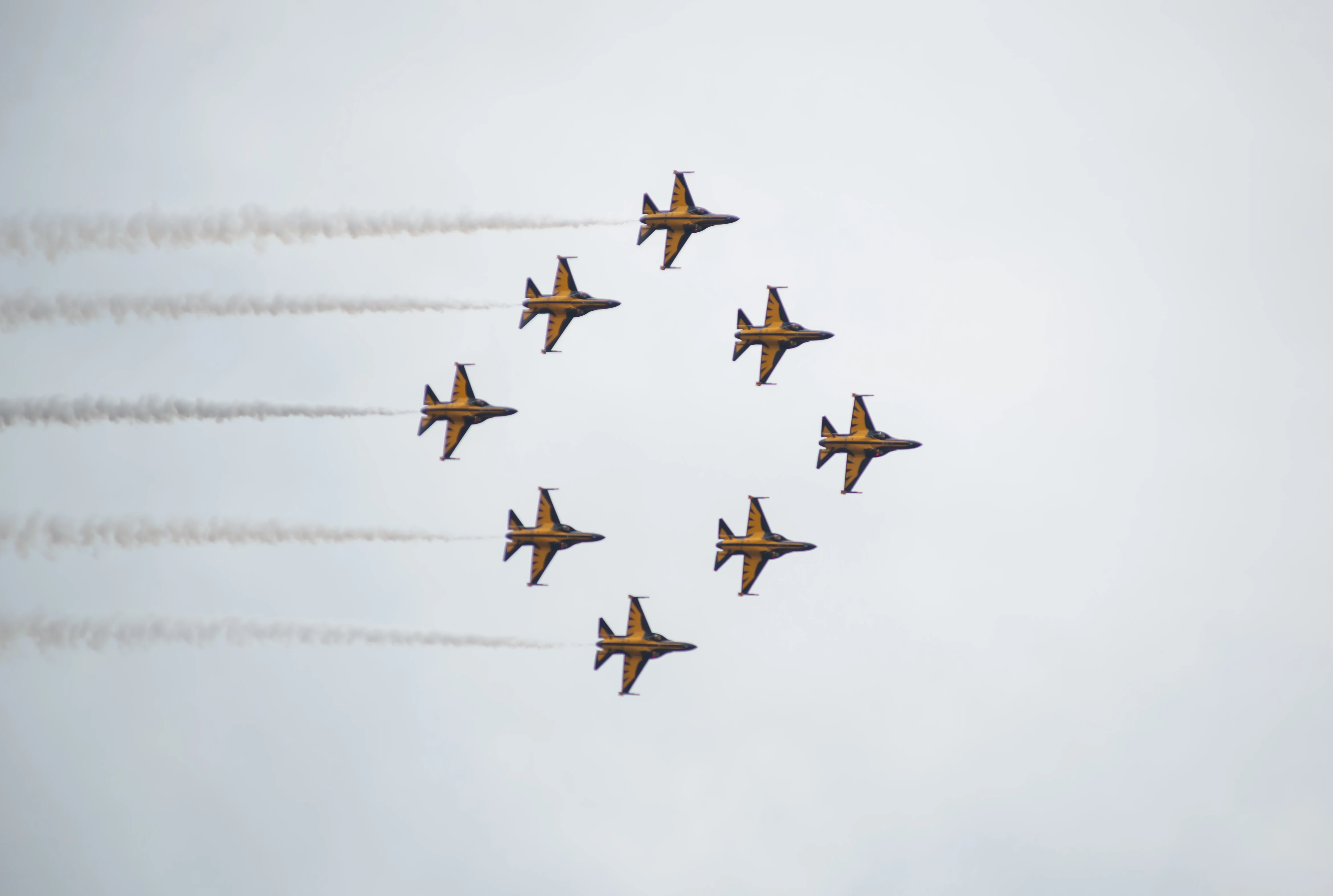 지상군페스티벌 (8)