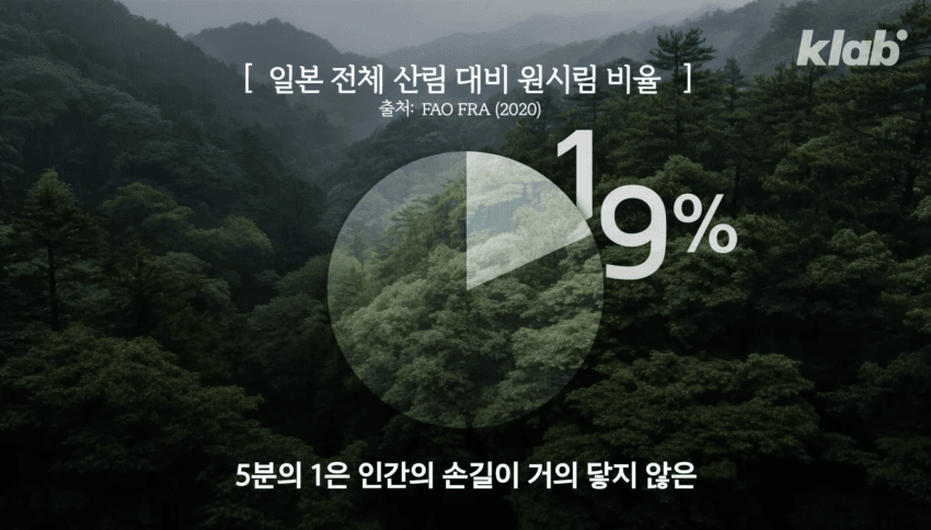 깜짝 .. 일본숲이 유독 무서운 이유 ㄹㅇ . (14)