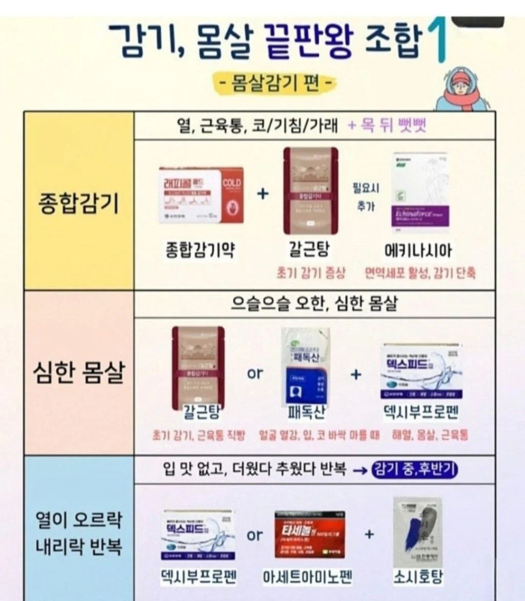 약사가 인정하는 감기 몸살 끝판왕 조합